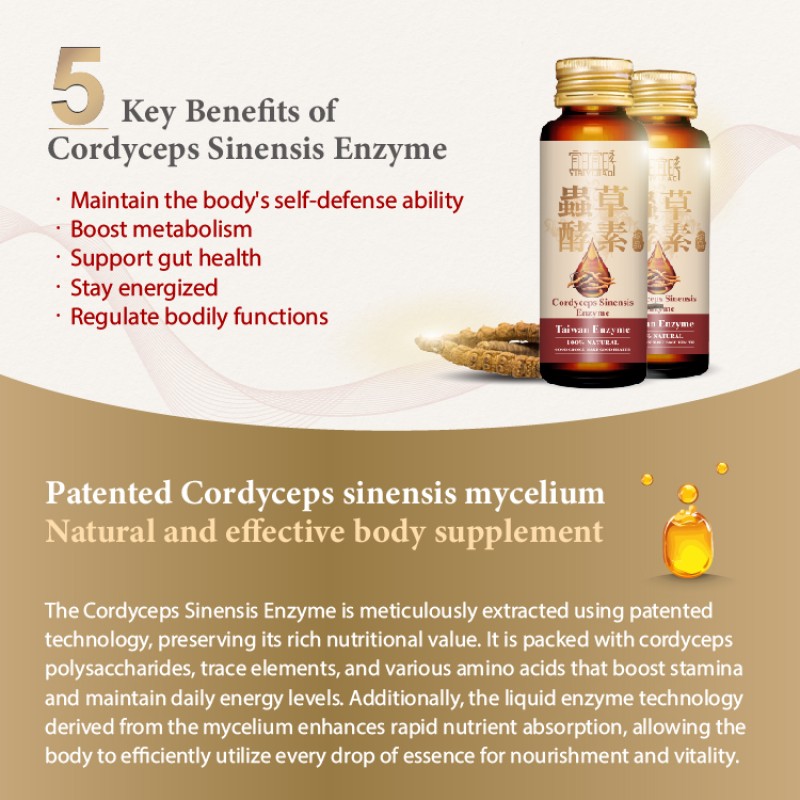 Cordyceps Enzyme Power Supplier - Experience Sinensis Benefits