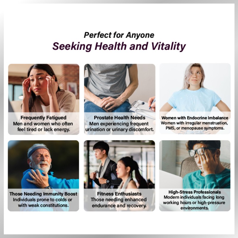 Energy Surge Supplier - Maca Pills Healthy Prostate Endurance