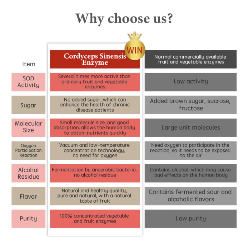 Wellness Supplement Manufacturer - Cordyceps Sinensis Health Journey