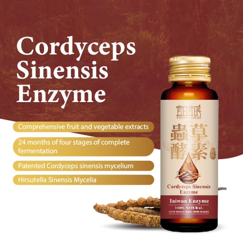 Cordyceps Enzyme Power Supplier - Experience Sinensis Benefits
