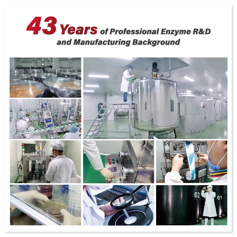 Enzyme Supplement Manufacturer - High Activity Health Care Raw Material