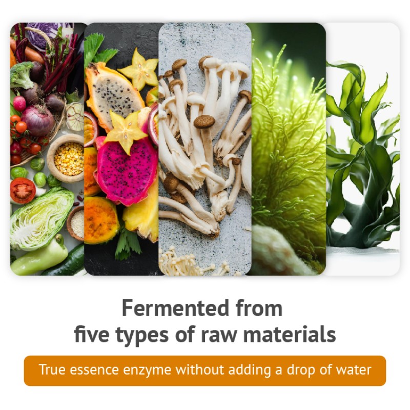 Enzyme Supplement Manufacturer - High Activity Health Care Raw Material