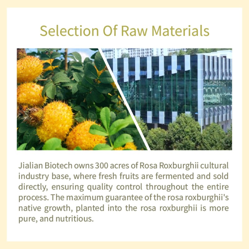 Rose Extract Supplier - Rosa Roxburghii Whitening Anti-Aging Powder