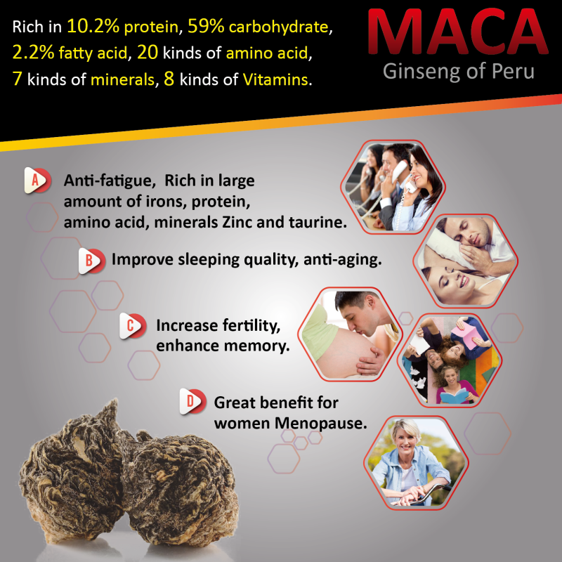Fermented Maca Liquid Factory - Taiwan Enzyme OEM Private Label