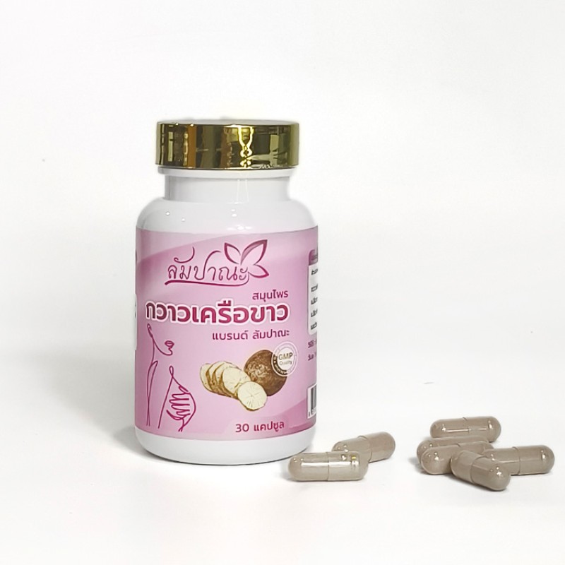 Herbal Supplement Manufacturer - Customized White Kudzu Root Capsules
