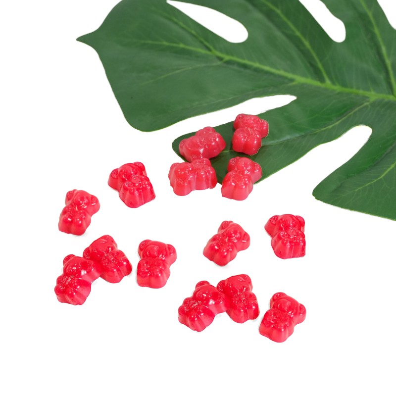 Energy Gummies Factory - OEM Watermelon Flavor Enhancement