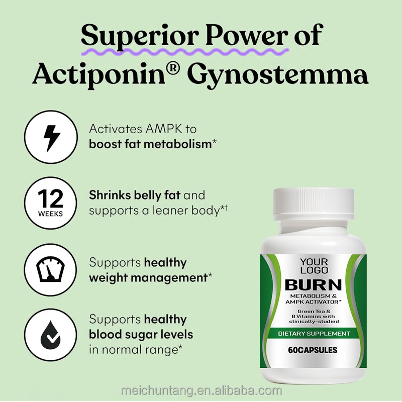 Slimming Capsules Factory - OEM Hot Sale Organic Weight Loss