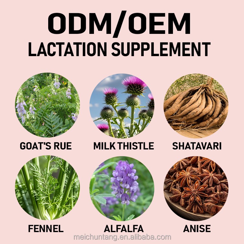 Lactation Capsules Supplier - Vegan Goat's Rue Milk Thistle Shatavari