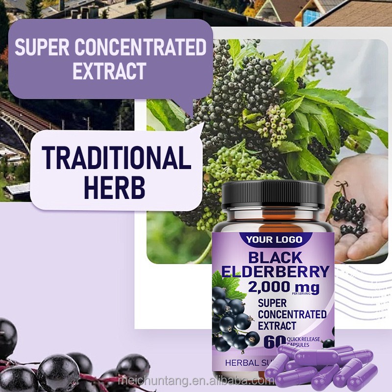 Elderberry Capsules Factory - OEM 500mg Immune System Antioxidant