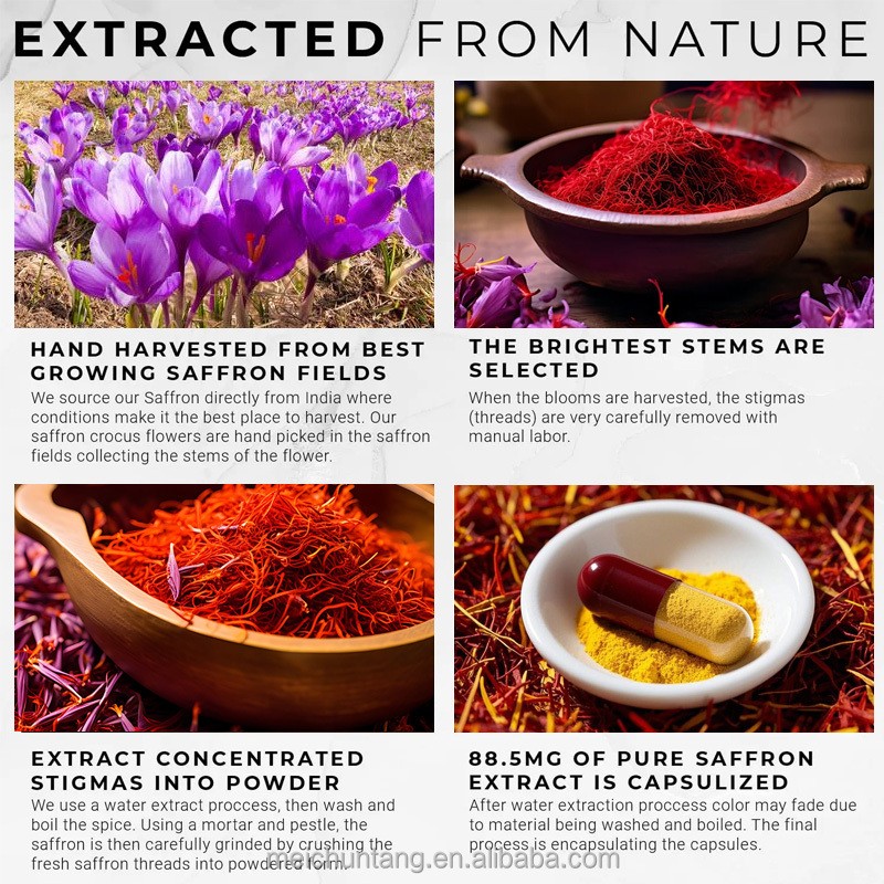 Saffron Capsules Factory - Herbal Supplements 95% Crocin Extract