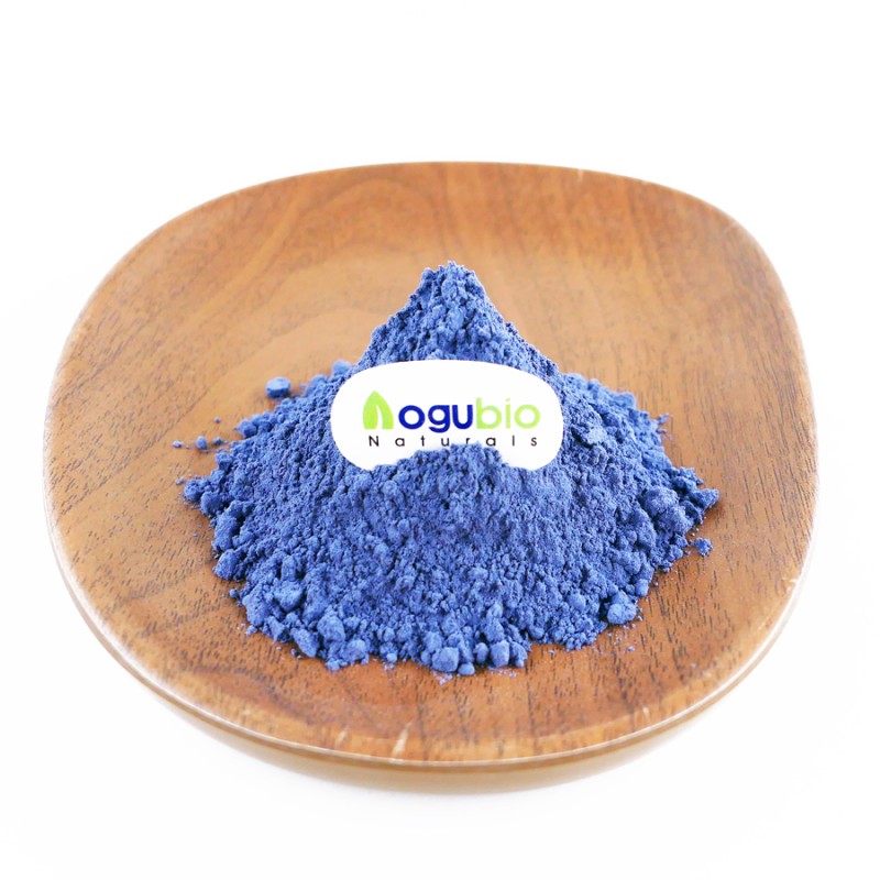 Butterfly Pea Powder Manufacturer - Natural Plant Extract Organic Blue