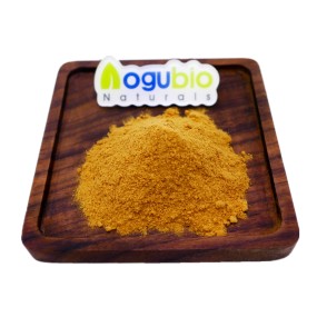 Tea Tree Mushroom Supplier - Agrocybe Chaxingu Extract Powder