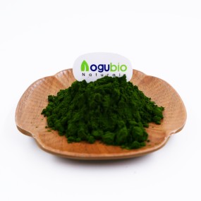 Chlorella Powder Manufacturer - Newest Batch Organic Green Extract