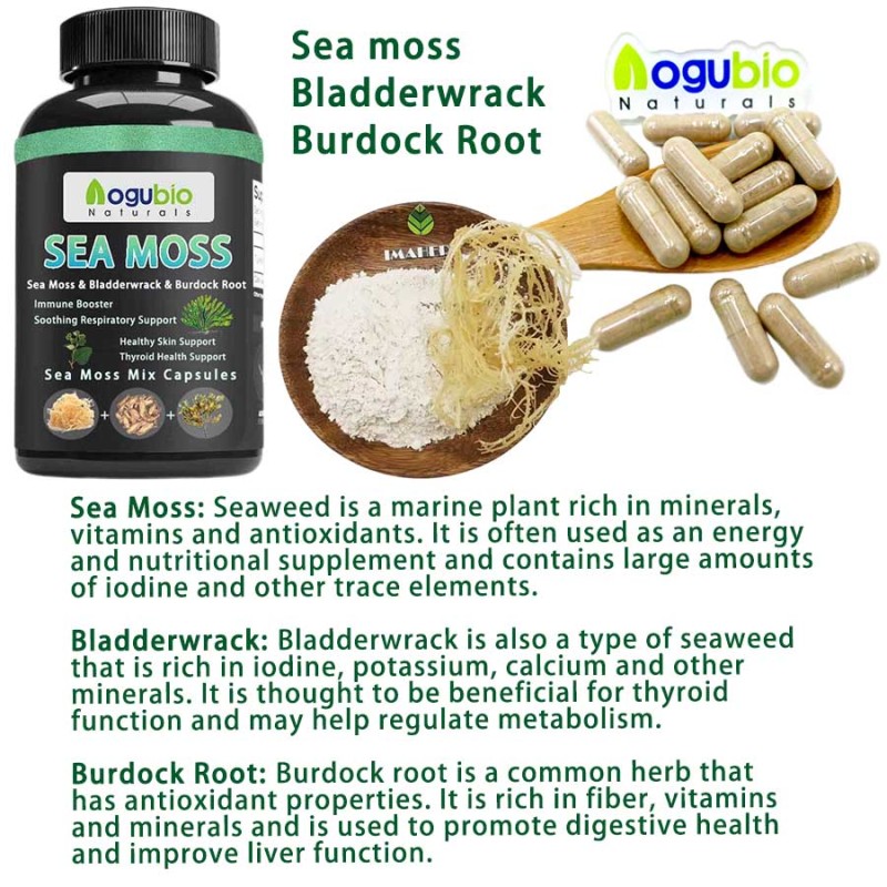 Sea Moss Capsules Factory - Private Label Immune Support Burdock Complex