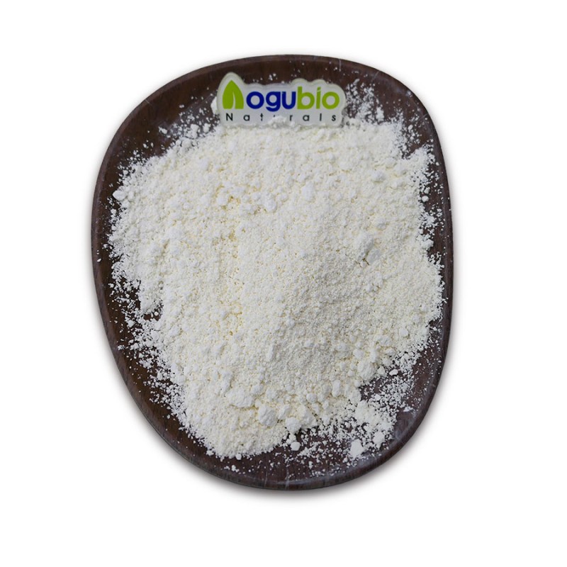 Bifidobacterium Adolescentis Supplier - Food Ingredients Freeze-dried Powder