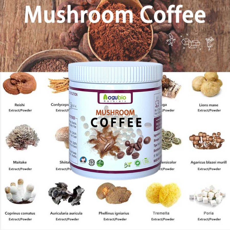 Mushroom Blend Powder Supplier - Private Label Mixed Coffee Powder
