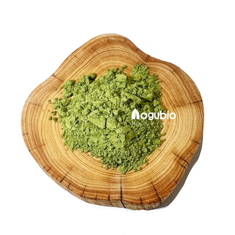 Wheat Grass Powder Manufacturer - Newest Batches 100% Natural