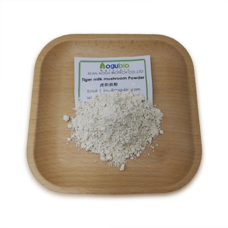 Tiger Milk Powder Manufacturer - Lignosus Rhinocerus Mushroom