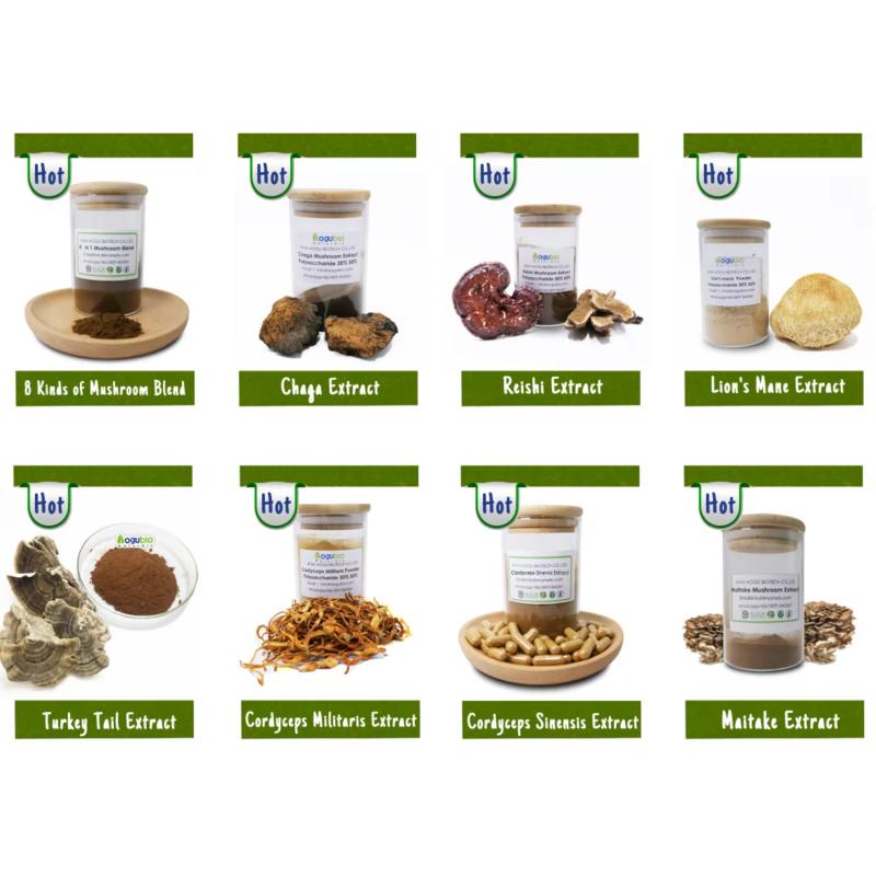 Maitake Extract Factory - OEM Private Label 30-50% Polysaccharides