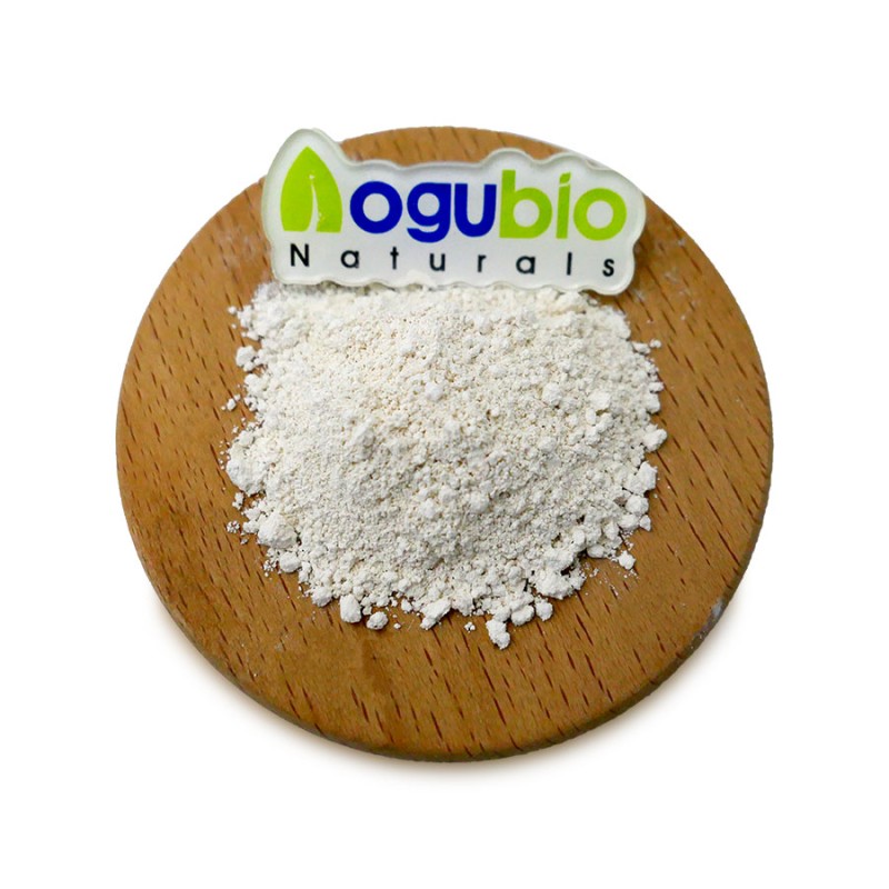 Probiotics Powder Supplier - Freeze-dried Original Manufacturer