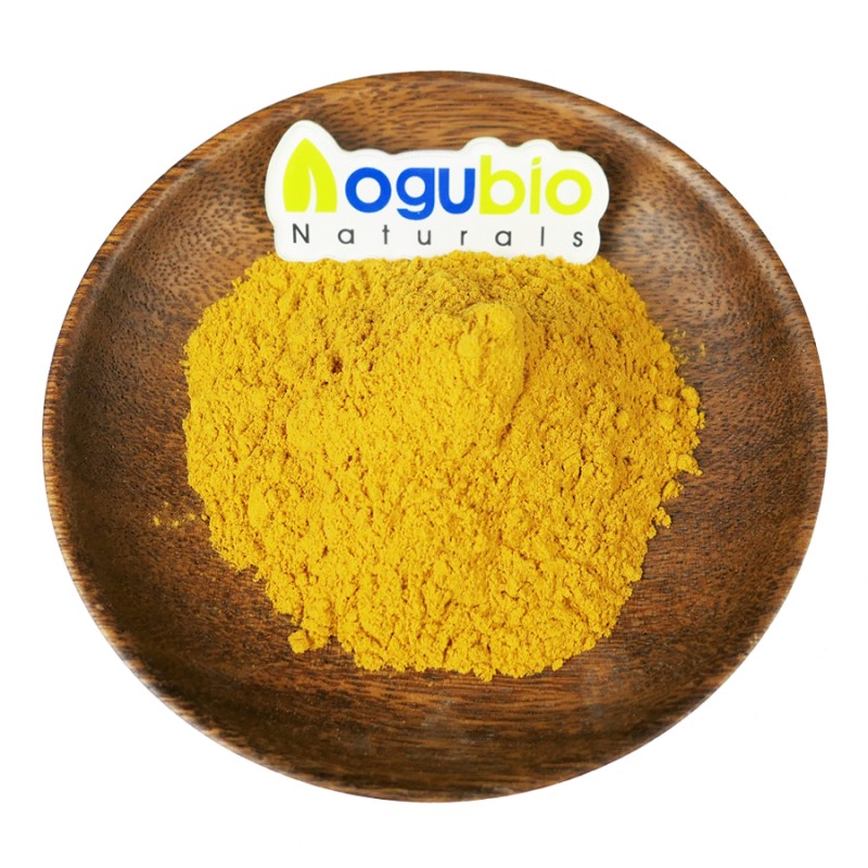 Agrocybe Extract Supplier - Polysaccharide Aegerita Plant Extract