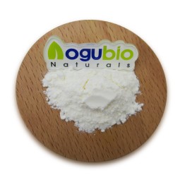 Probiotics Powder Factory - Freeze-dried Powder Original Manufacturer