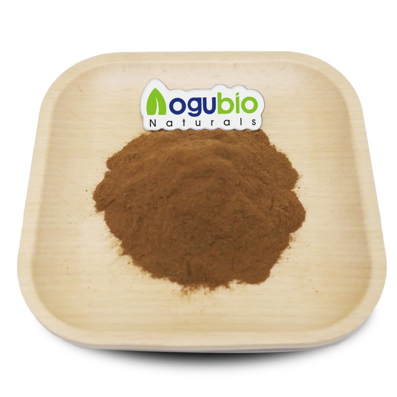 Cordyceps Extract Manufacturer - 30% Polysaccharide Sinensis