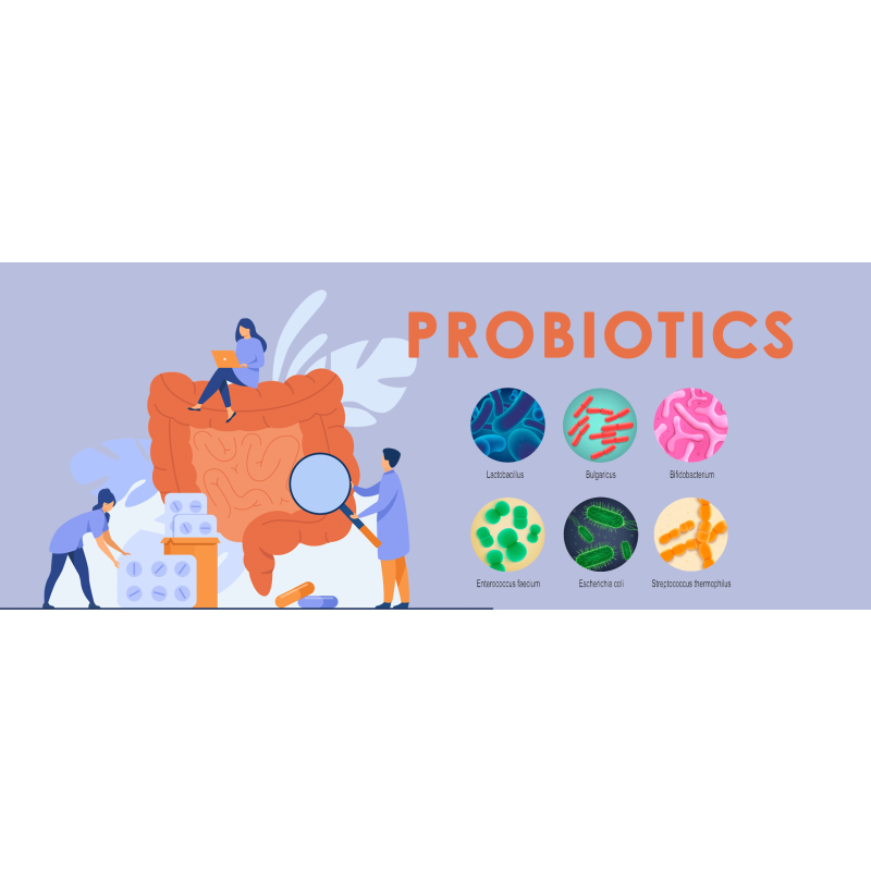 Probiotic Capsules Factory - 120 Billion CFU Acidophilus Tablets