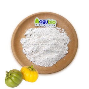 Garcinia Cambogia Supplier - Bulk Extract Powder HCA 50-70%