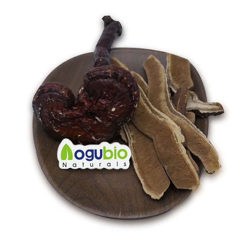 Reishi Capsules Supplier - High Quality 99% Mushroom Extract