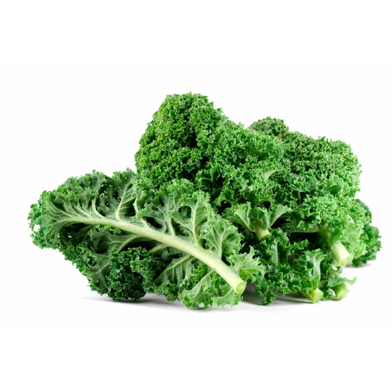 Kale Extract Powder Manufacturer - OEM Green Powder Pure Natural