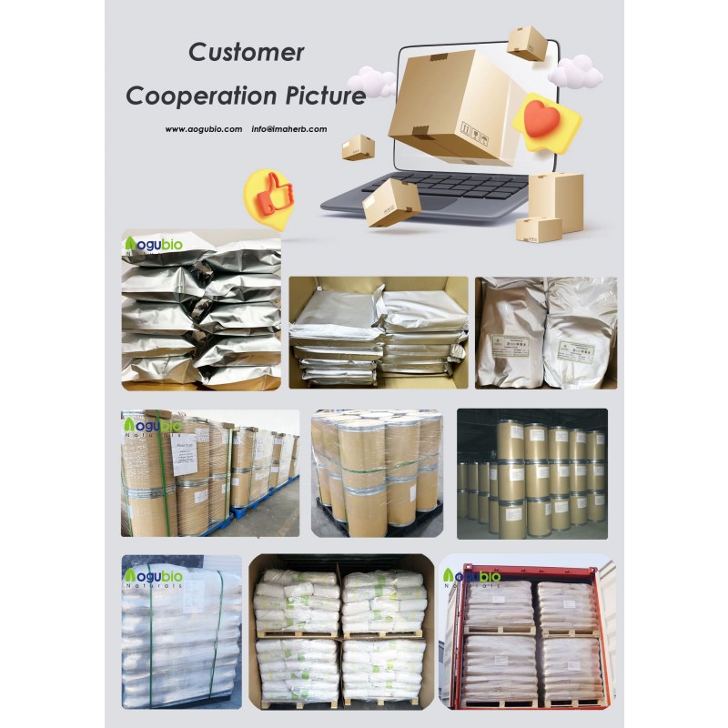 Bifidobacterium Animalis Factory - Food Ingredients Freeze-dried Powder