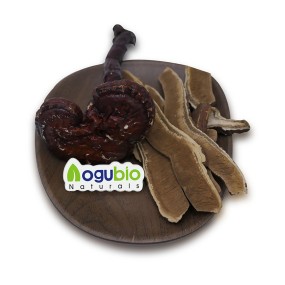 Reishi Extract Powder Factory - Natural Mushroom Extract Powder