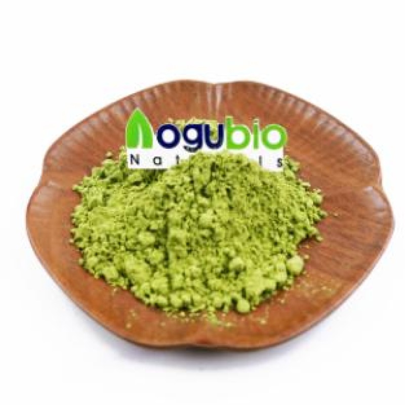 Wheat Grass Powder Factory - Organic Juice Powder Grass Extract