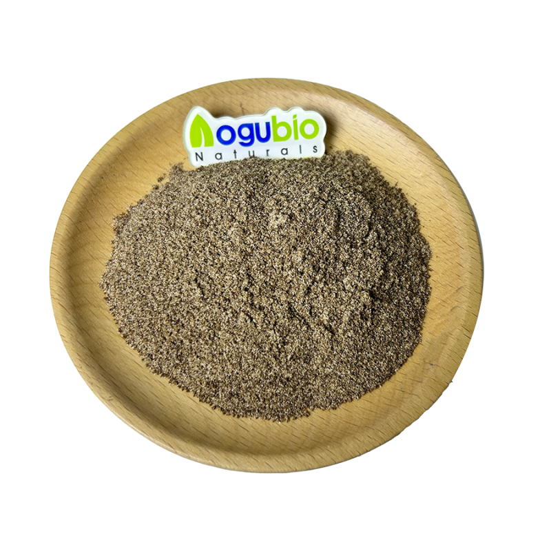 Mushroom Coffee Supplier - OEM Herbal Lingzhi Ganoderma 8 in 1