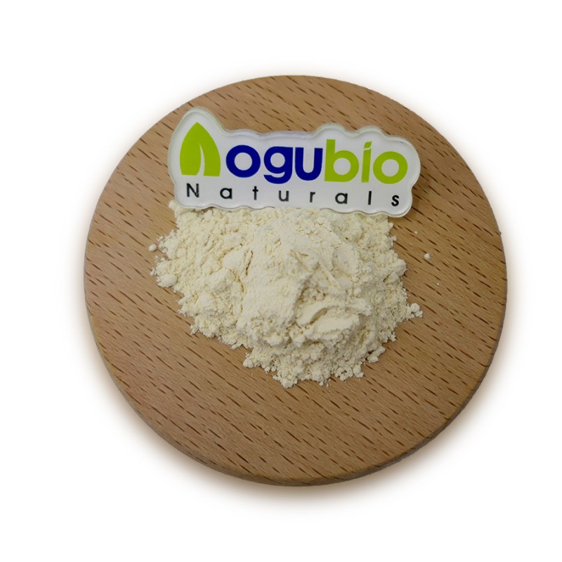 Jackfruit Powder Supplier - Natural Freeze-dried Fruit Powder