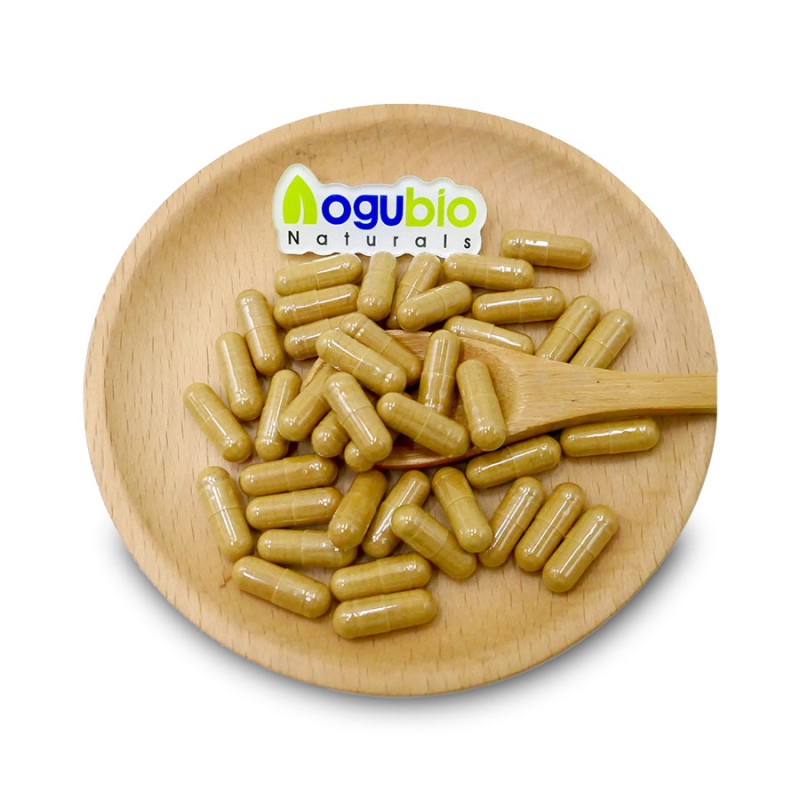 Maitake Powder Manufacturer - 30-50% Polysaccharides Fruiting Body