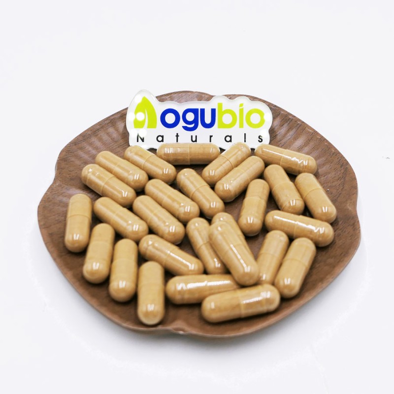 Tiger Milk Powder Manufacturer - Lignosus Rhinocerus Mushroom