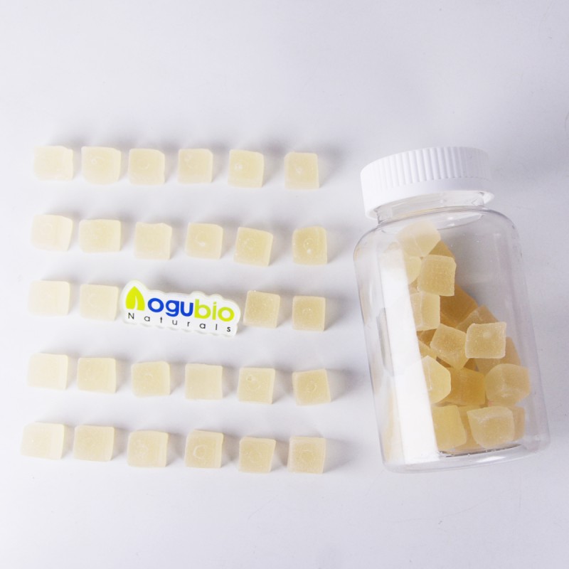 HMB Creatine Powder Manufacturer - Private Label with Vitamin D3 Betaine