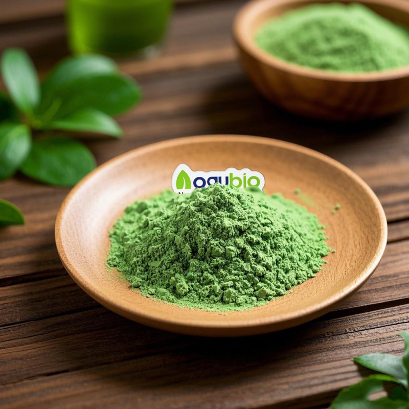 Matcha Powder Manufacturer - ISO Certified Organic Green Tea Free Sample