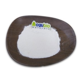 L-Glutamic Acid Manufacturer - Best Price Food Amino Acid CAS 56-86-0