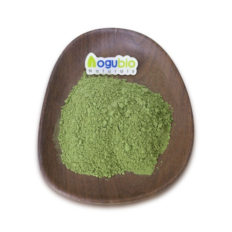 Barley Grass Powder Manufacturer - Organic Certified Cheap Price
