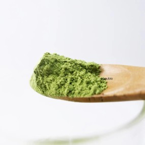 Wheat Grass Powder Factory - Organic Juice Powder Grass Extract