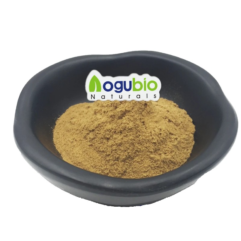 Centella Extract Supplier - Organic Certified Asiatica Cheap Price