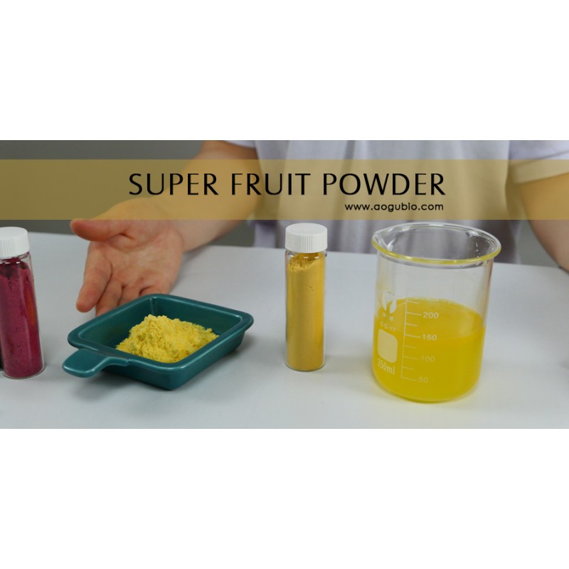 Mango Powder Supplier - Food Additive Water Soluble Health Supplement
