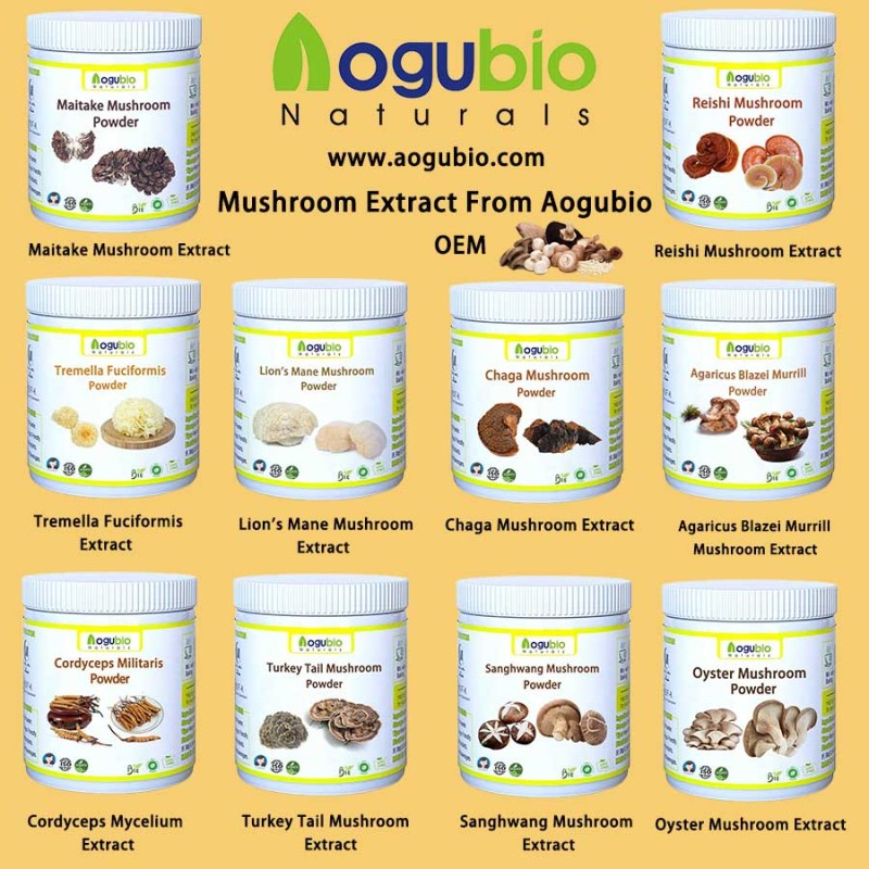 Mushroom Coffee Powder Manufacturer - Organic Instant Arabica Reishi Chaga