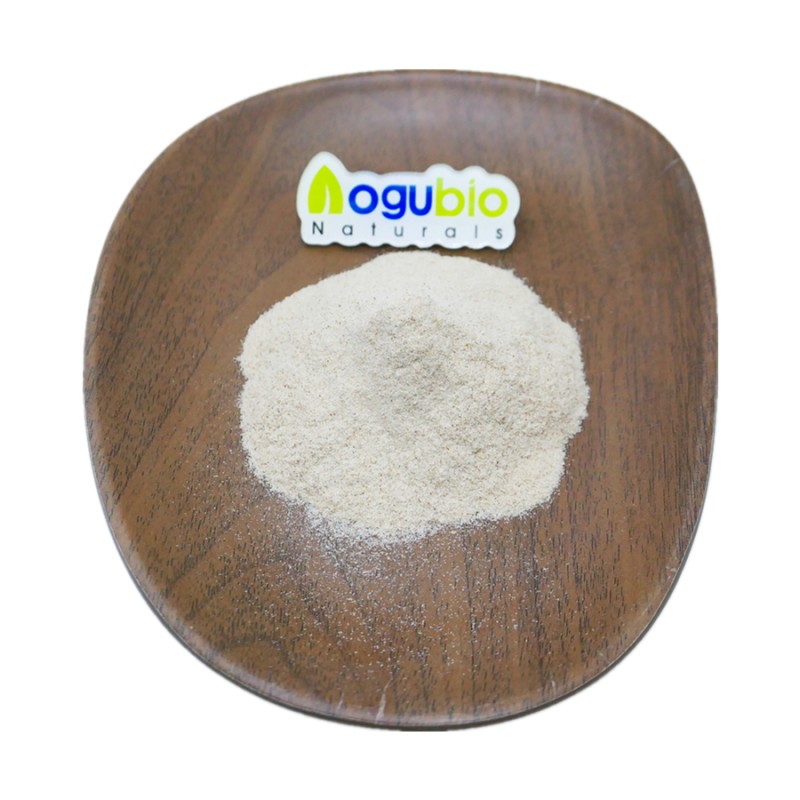 Bifidobacterium Powder Supplier - Bifidum Food Ingredients Freeze-dried