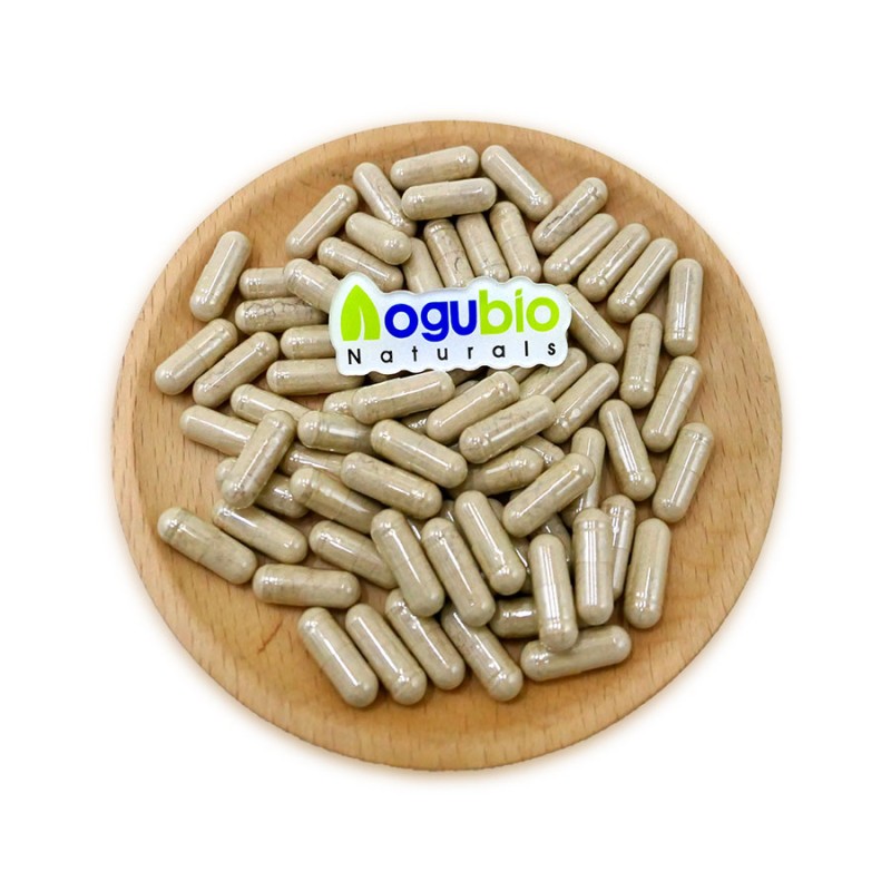 Lions Mane Capsules Supplier - Brain Focus Supplement Extract Powder