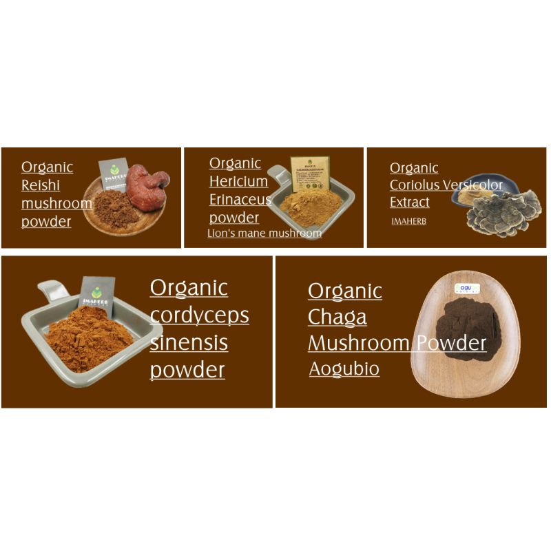 Agrocybe Extract Supplier - Polysaccharide Aegerita Plant Extract