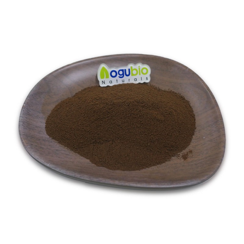 Mushroom Coffee Powder Manufacturer - Pure Organic Private Label